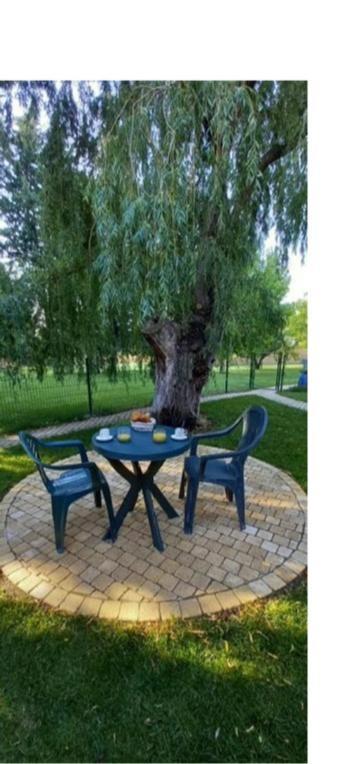 Logement Lumineux, Entierement Renove Avec Jardin Caumont-sur-Durance Buitenkant foto